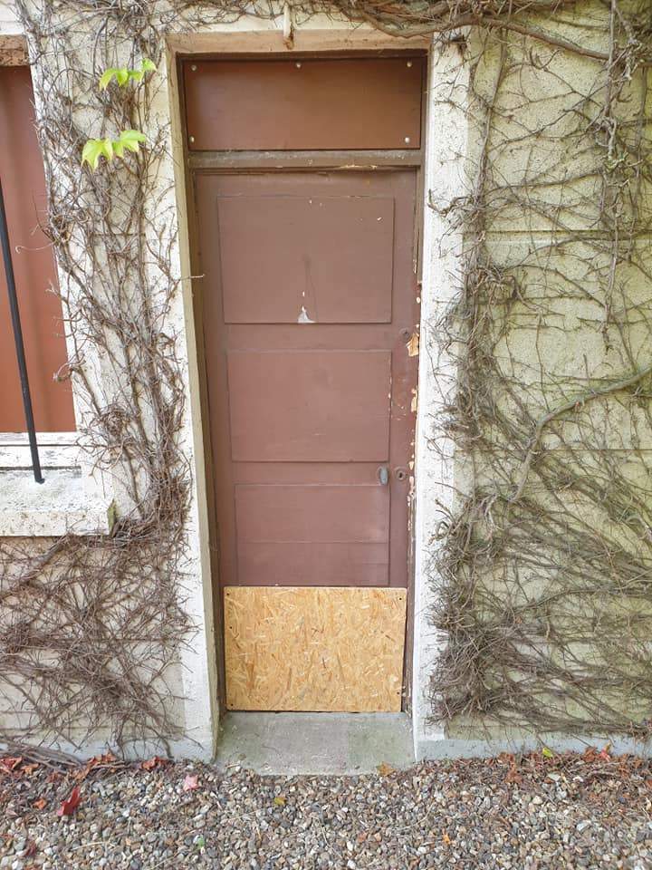 132024882 137804524777848 6474106872778783118 n